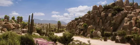 Forza Horizon 5 Artwork