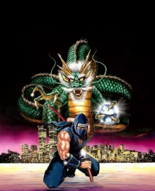 Ninja Gaiden II: The Dark Sword of Chaos Artwork