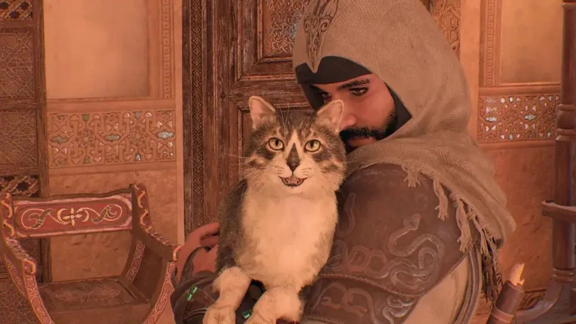 Assassin’s Creed Mirage - 1.2 Million Cats Need More Cuddles