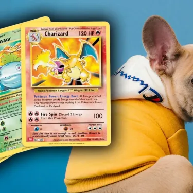 Pokémon Card Convention Videos Spark Backlash Over Puppy Trade Offers