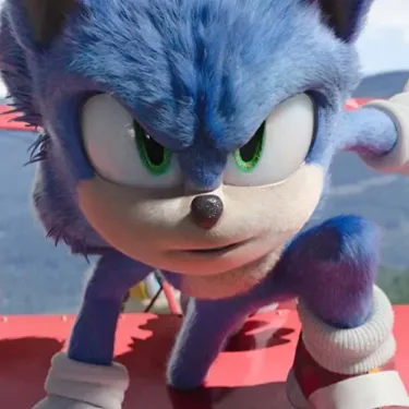 Blue-Painted Hedgehog Dies After Suspected Sonic-Themed Animal Cruelty in West Yorkshire