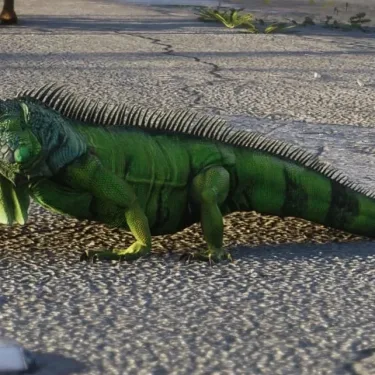 GTA 6 Has Confirmed 170 Animal Species, From Alligators to Whales