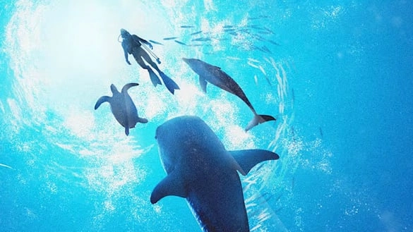 Endless Ocean: Luminous To Get Patch For Game Bug