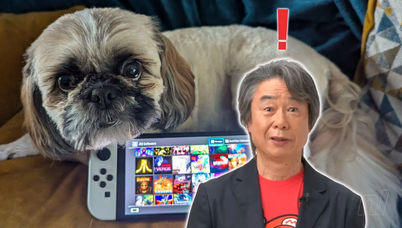 Nintendo Advises Keep Pets Away from Your Switch