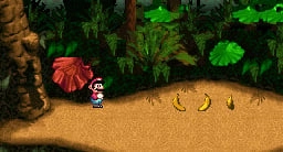 Donkey Kong Country Transformed into a Mario Game