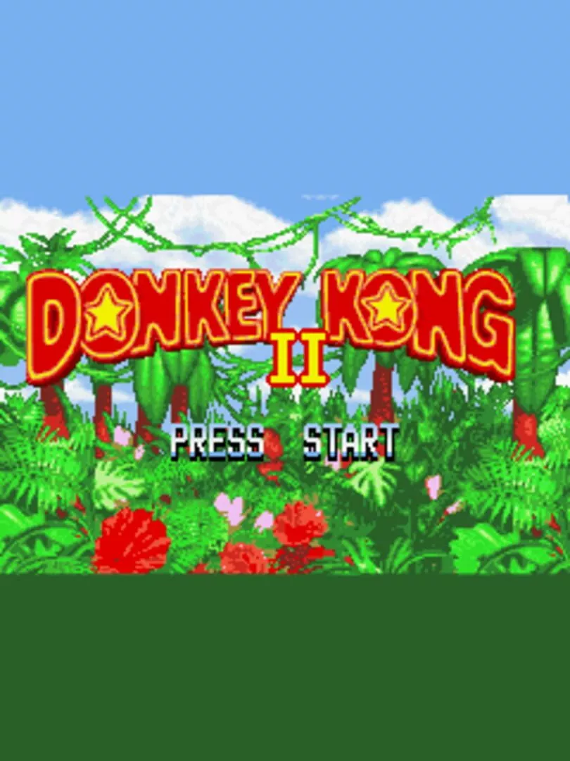 Donkey Kong 2 box art