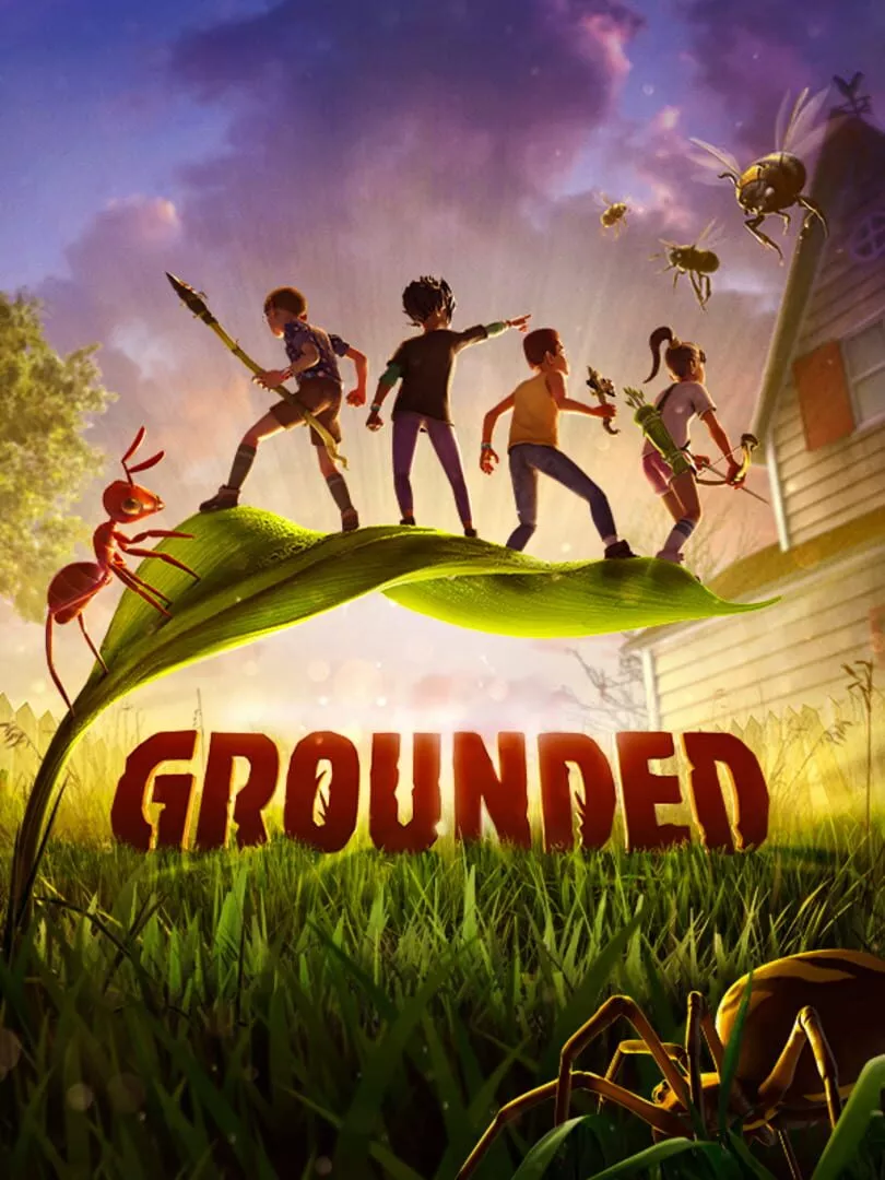 Grounded Box Art