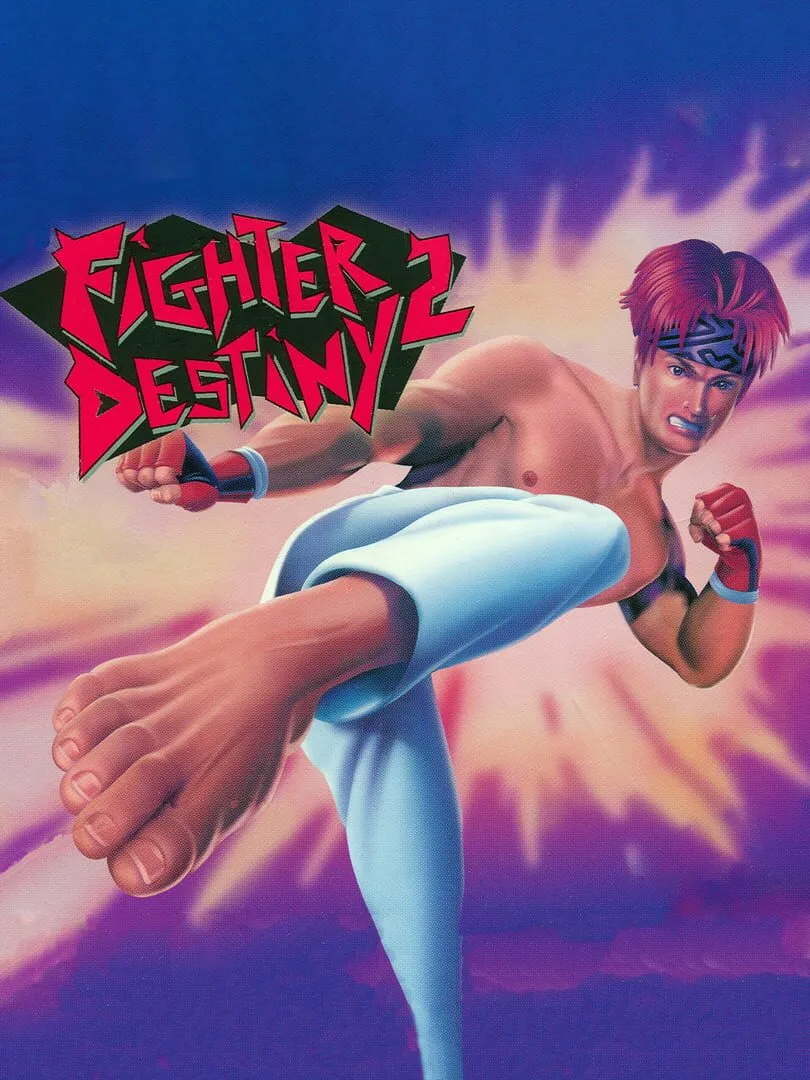 Fighter Destiny 2 cover art
