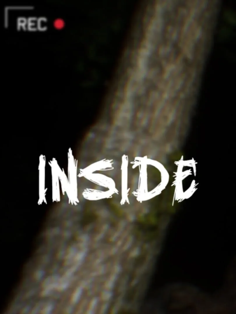 Inside cover art