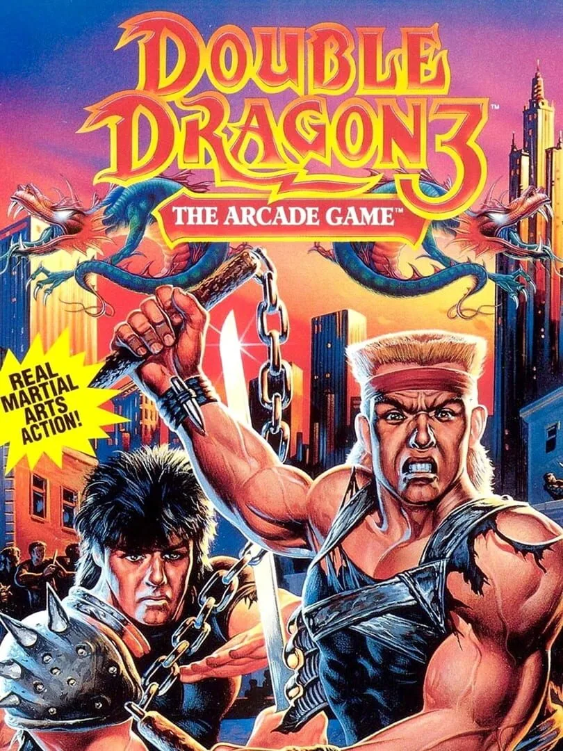Double Dragon 3: The Arcade Game cover art