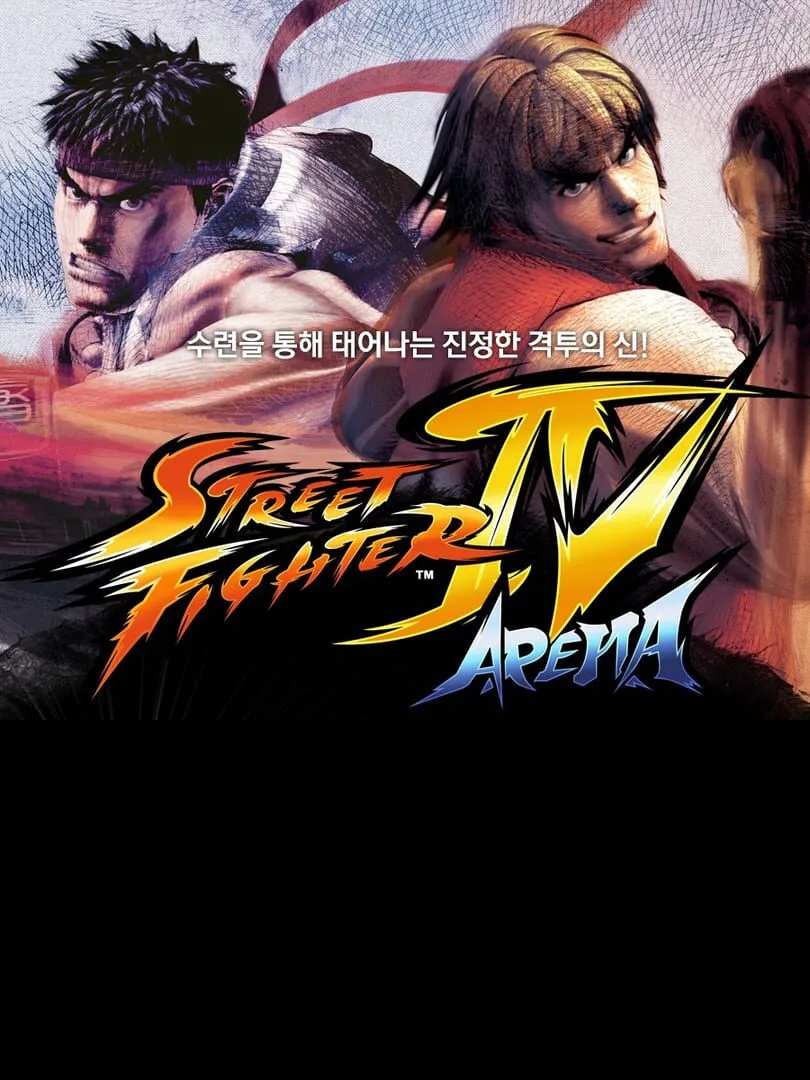 Street Fighter IV: Arena cover art