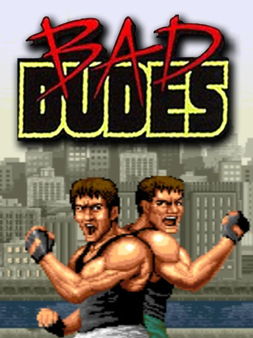 Johnny Turbo's Arcade: Bad Dudes cover art