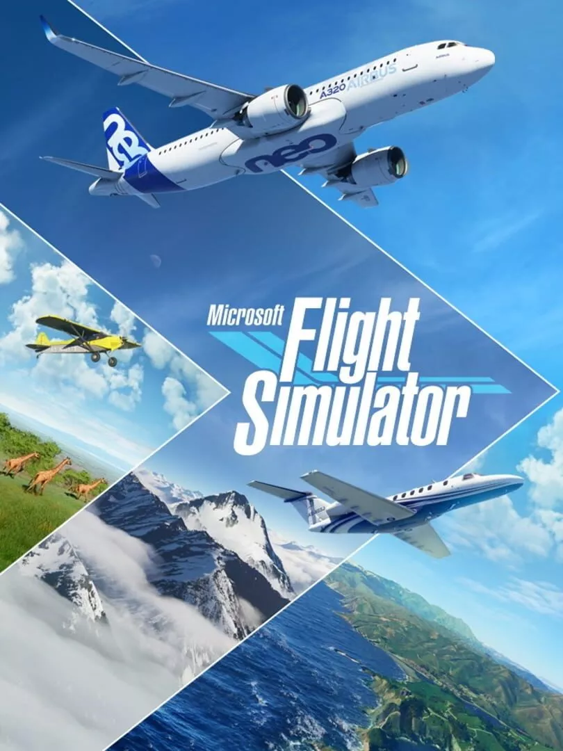 Microsoft Flight Simulator Box Art